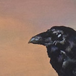 'A Raven in the Sun' by Debbie Anderson
