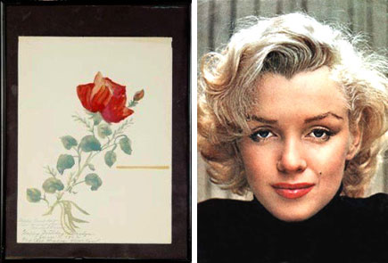 Actress Marilyn Monroe Artwork