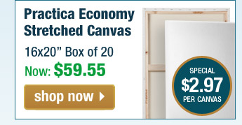 Practica Economy Stretched Canvas Boxes of 20