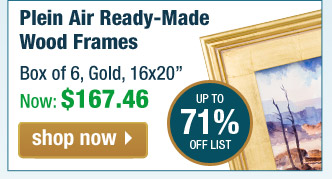 Plein Aire Frames - Custom Ready Made Frames