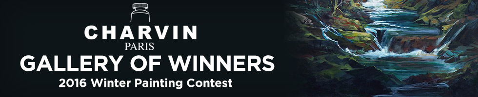 2016 Charvin Winter Contest Gallery of Winners Winners Gallery