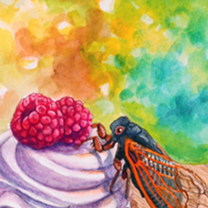 3rd Place: 'Cicadas on Your Cupcake' by Brandy