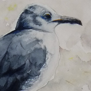 1st Place: 'Jon L. Seagull' by Annie Strack