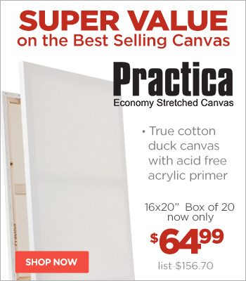Practica Economy Stretched Canvas