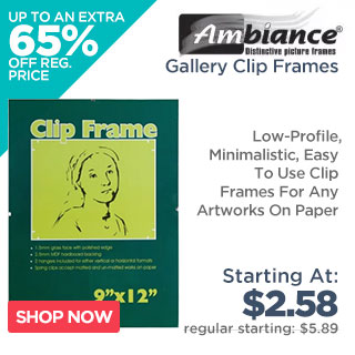 Ambiance Gallery Clip Frames - Low-Profile Frames