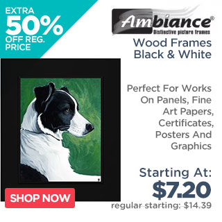 Ambiance Studio Wood Frames - Black & White