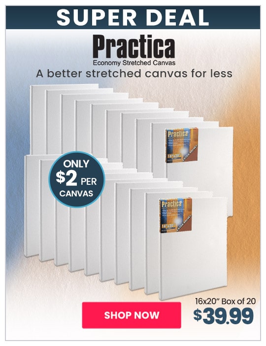 Practica Stretched Cotton Canvas 16x20, Box of 20 