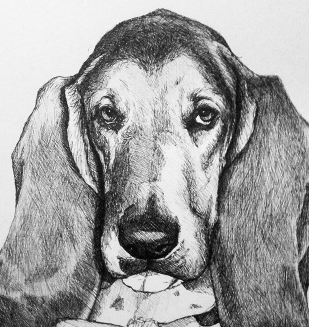 Charcoal drawing, Shading Techniques, Contour Lines & Hatching