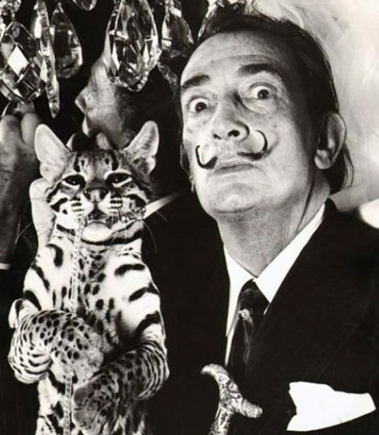 salvador dali