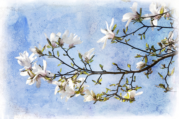 Watercolor Painting Terms You Should Know