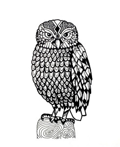 Owl Drawing