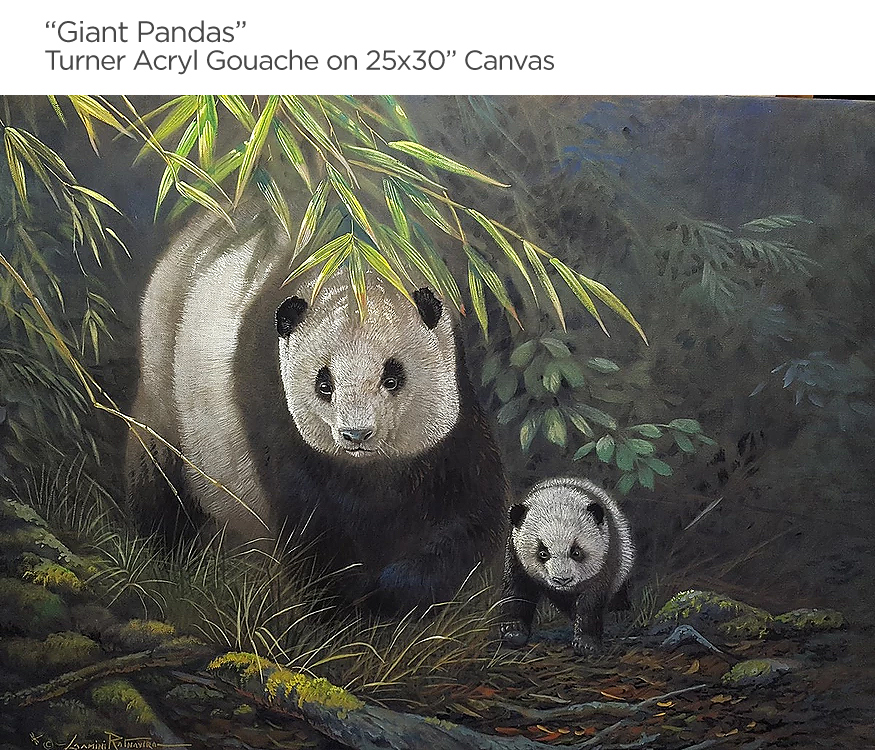 Gamini-Ratnavira-Giant-Pandas-turner-acryl-gouache