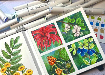 Ultimate Guide to Using Alcohol Markers - Learn the best alcohol