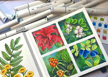 Level Up Your Art with Alcohol Markers: Pro Tips for Professional