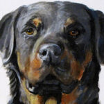 Painting and Selling Dog Portraits