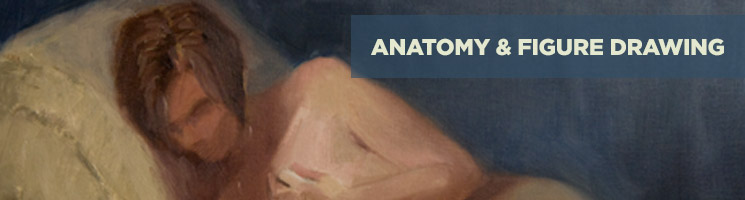 Anatomy & Figure Drawing