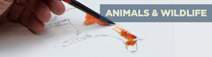 Animals & Wildlife Animals & Wildlife