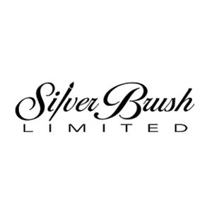 Silver Brush