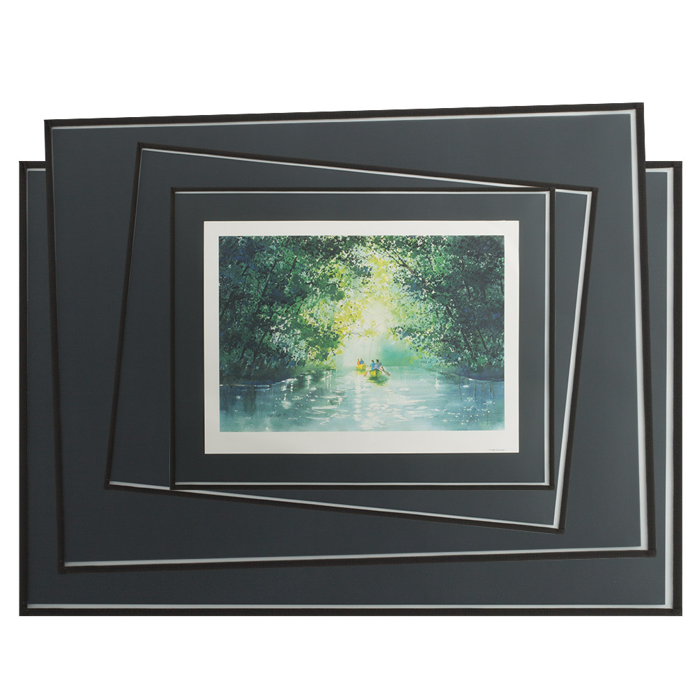 Picturesque PRO Print Protectors