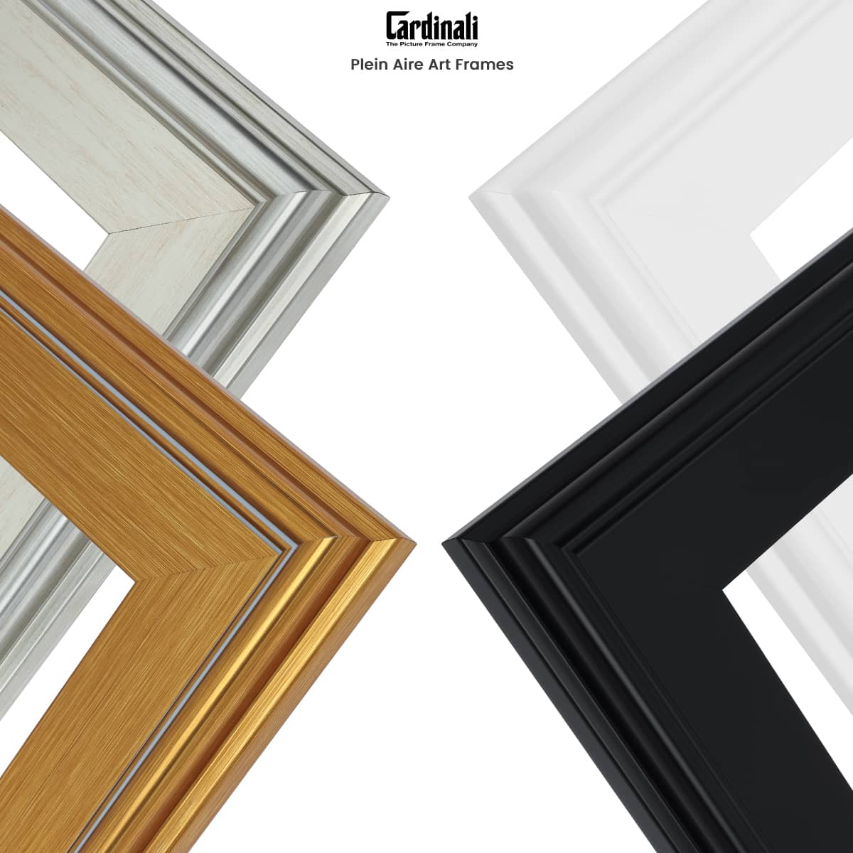 Cardinali Plein Aire Frames