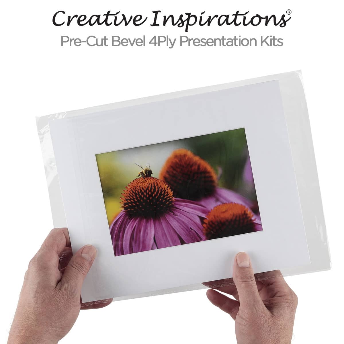 Packs of 25 Pre-Cut Bevel 4Ply Mats Presentation Kits