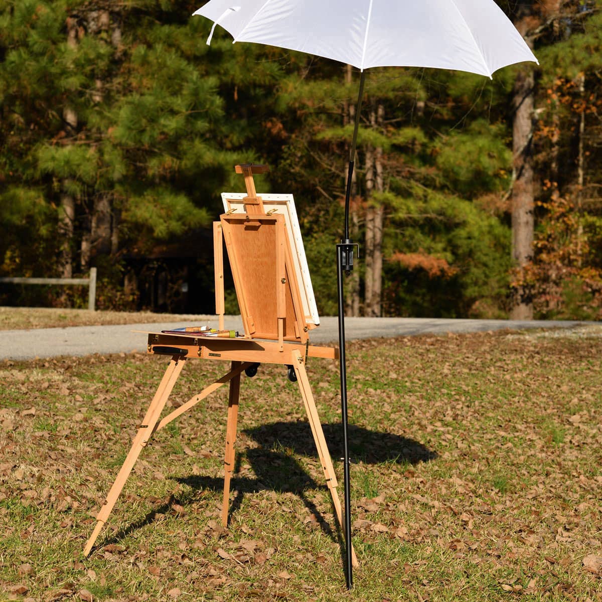 Plein Air Art Supplies: Choosing the Right Paint Box - OutdoorPainter