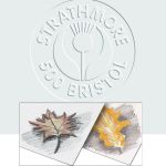 Strathmore 500 Series Drawing Bristol Sheet Packs