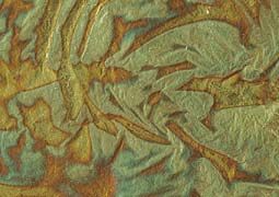 Gold Leaf 25 Sheet Book - Variegated Leaf (Green Shade)