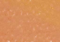 Mungyo Gallery Artists' Soft Pastel Square Box of 6 - Cinnamon