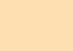 Daler-Rowney Soft Pastel Individual - Autumn Brown 1