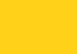 Daler-Rowney Soft Pastel Individual - Cadmium Yellow Hue 4