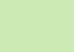 Daler-Rowney Soft Pastel Individual - Grass Green 1