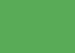 Daler-Rowney Soft Pastel Individual - Grass Green 3