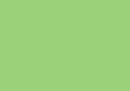 Daler-Rowney Soft Pastel Individual - Lizard Green 2