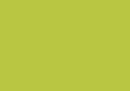 Daler-Rowney Soft Pastel Individual - Olive Green 2
