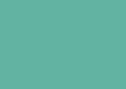 Daler-Rowney Soft Pastel Individual - Rowney Green 2