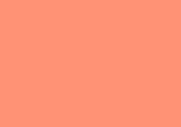 Daler-Rowney Soft Pastel Individual - Rowney Orange 2