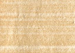 Phenomenon Shell Paper 5-Pack - Light Brown Red