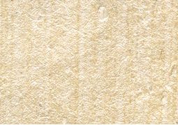 Phenomenon Shell Paper 5-Pack - Natural