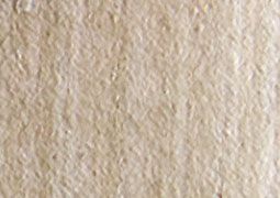 Phenomenon Shell Paper 5-Pack - Warm Grey