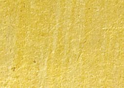 Phenomenon Shell Paper 5-Pack - Yellow