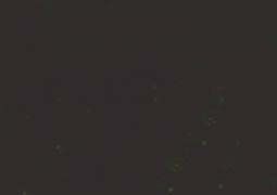Sennelier Soft Pastels (Standard) Box of 3 - Ivory Black 513