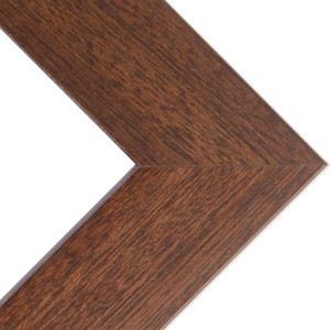 Phoenix 1" Wood Frame with acrylic glazing and cardboard backing 20x24" - Walnut