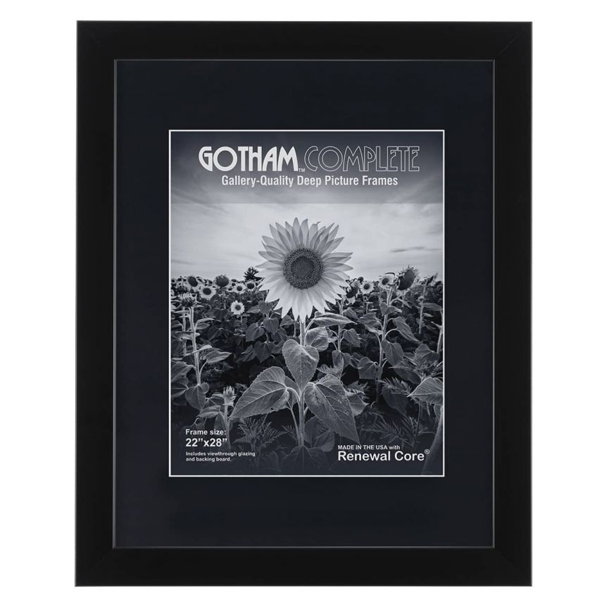 Gotham Complete Black, 22"x28" Gallery Frame w/ Acrylic + Backing