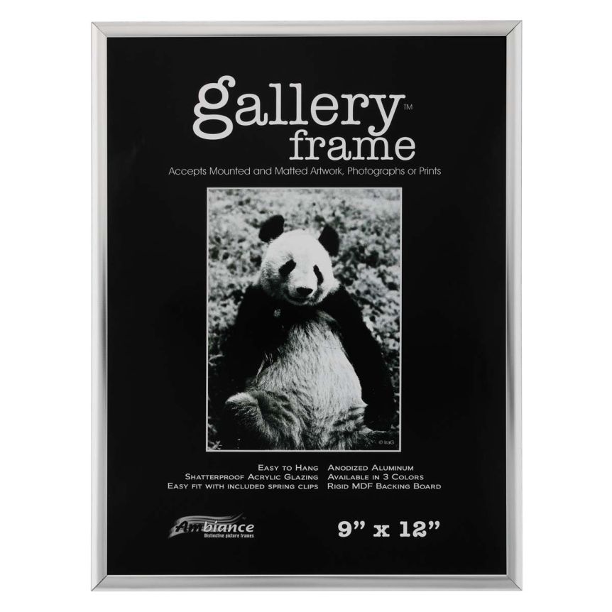 Ambiance Gallery Aluminum Frame 9x12" - Silver