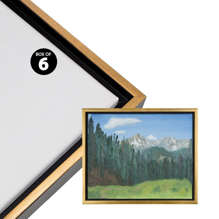 Cardinali Renewal Core Floater Frame - Black/Antique Gold 8"x16", Open Back (Box of 6)