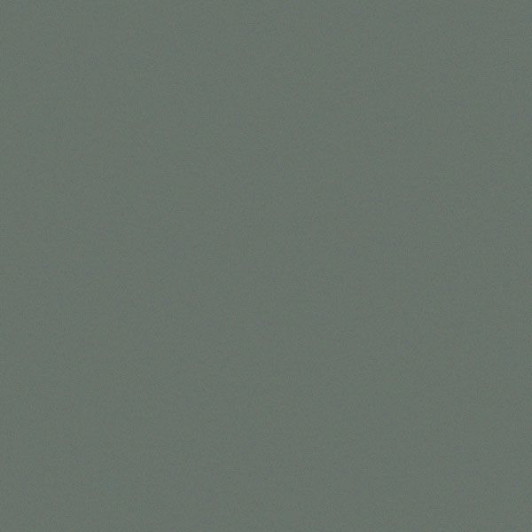 Art Spectrum Smooth Pastel Paper - Leaf Green Dark, 9.5"x12.5" (Pack of 10)