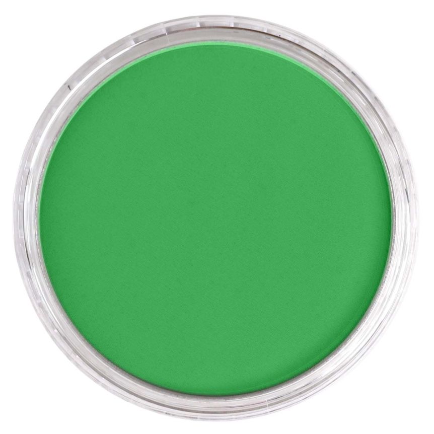 PanPastel Ultra Soft Artists' Painting Pastel - Blue Green, 9ml