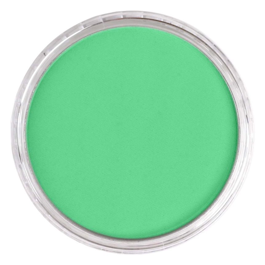PanPastel Ultra Soft Artists' Painting Pastel - Blue Green Light, 9ml
