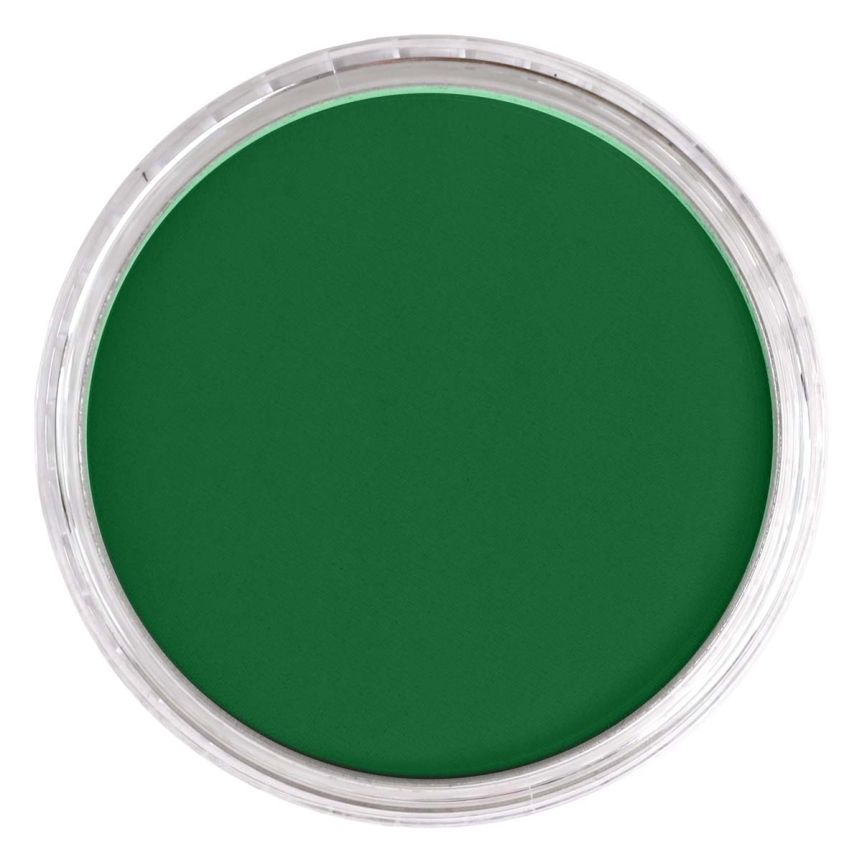 PanPastel Ultra Soft Artists' Painting Pastel - Blue Green Shade, 9ml